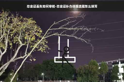 毕业证丢失如何审核-毕业证补办详细流程怎么填写