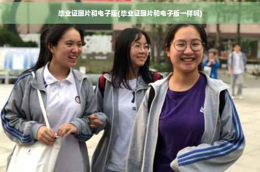毕业证图片和电子版(毕业证图片和电子版一样吗)