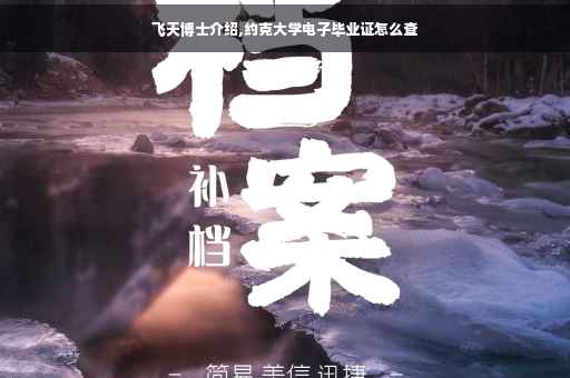 飞天博士介绍,约克大学电子毕业证怎么查