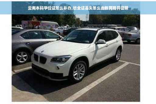 云南本科学位证怎么补办,毕业证丢失怎么去教育局开证明