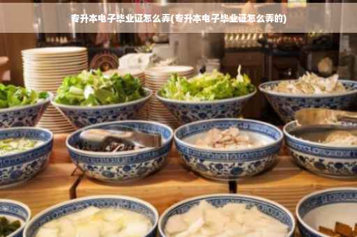 专升本电子毕业证怎么弄(专升本电子毕业证怎么弄的)