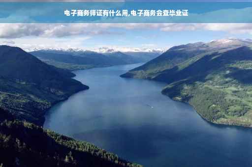 电子商务师证有什么用,电子商务会查毕业证
