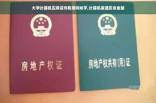 大学计算机五级证书有用吗知乎,计算机装调员含金量