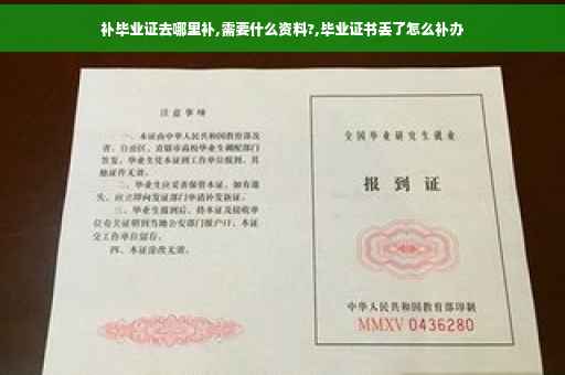 补毕业证去哪里补,需要什么资料?,毕业证书丢了怎么补办