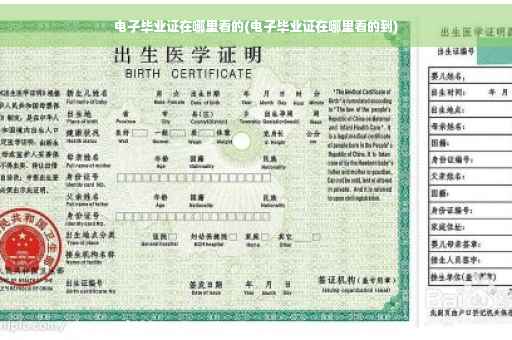 电子毕业证在哪里看的(电子毕业证在哪里看的到)