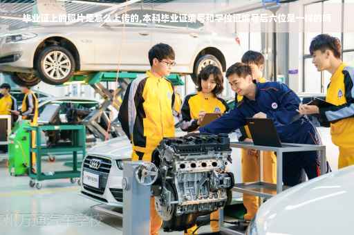 毕业证上的照片是怎么上传的,本科毕业证编号和学位证编号后六位是一样的吗