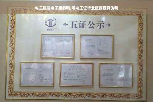 电工证是电子版的吗,考电工证毕业证要查真伪吗