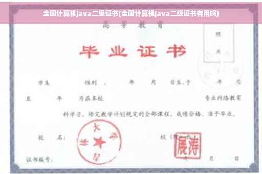 全国计算机java二级证书(全国计算机java二级证书有用吗)
