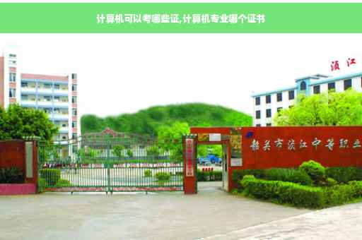 计算机可以考哪些证,计算机专业哪个证书