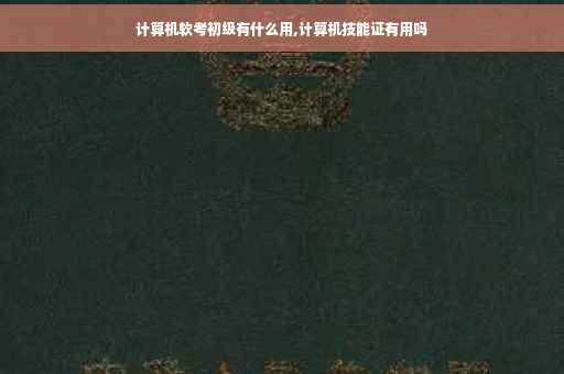 计算机软考初级有什么用,计算机技能证有用吗