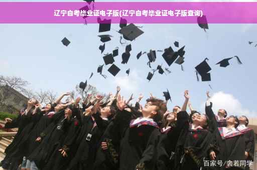 辽宁自考毕业证电子版(辽宁自考毕业证电子版查询)