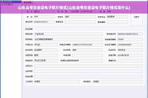 山东自考毕业证电子照片格式(山东自考毕业证电子照片格式是什么)