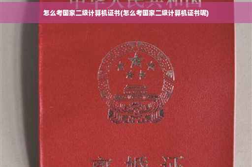 怎么考国家二级计算机证书(怎么考国家二级计算机证书呢)