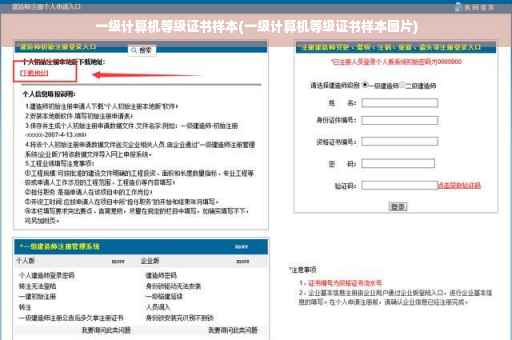 一级计算机等级证书样本(一级计算机等级证书样本图片)