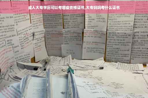 成人大专学历可以考哪些资格证书,大专妈妈考什么证书