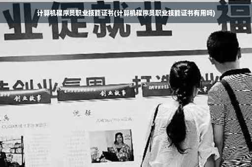 计算机程序员职业技能证书(计算机程序员职业技能证书有用吗)