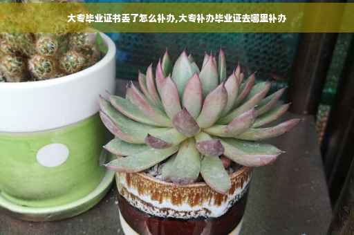大专毕业证书丢了怎么补办,大专补办毕业证去哪里补办
