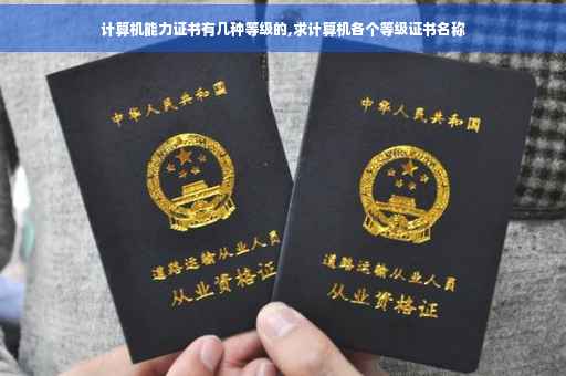 计算机能力证书有几种等级的,求计算机各个等级证书名称