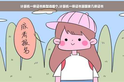 计算机一级证书类型选哪个,计算机一级证书算国家几级证书