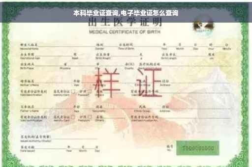 本科毕业证查询,电子毕业证怎么查询