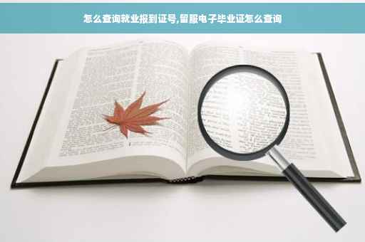 怎么查询就业报到证号,留服电子毕业证怎么查询