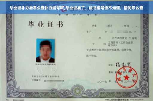 毕业证补办后怎么查补办编号呢,毕业证丢了，证书编号也不知道，请问怎么查