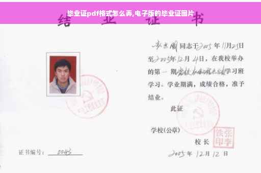 毕业证pdf格式怎么弄,电子版的毕业证图片