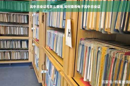 高中毕业证号怎么查询,如何查看电子高中毕业证