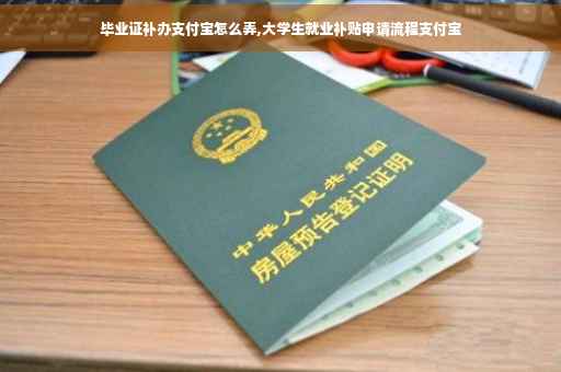 毕业证补办支付宝怎么弄,大学生就业补贴申请流程支付宝