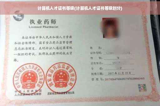 计算机人才证书等级(计算机人才证书等级划分)