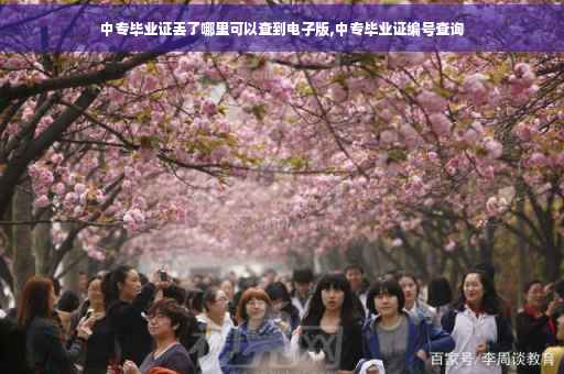 中专毕业证丢了哪里可以查到电子版,中专毕业证编号查询
