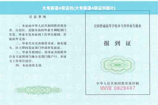 大专英语4级证书(大专英语4级证书图片)