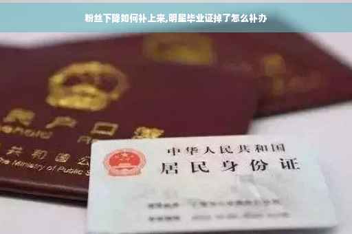 粉丝下降如何补上来,明星毕业证掉了怎么补办