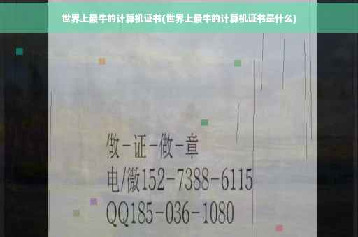 世界上最牛的计算机证书(世界上最牛的计算机证书是什么)