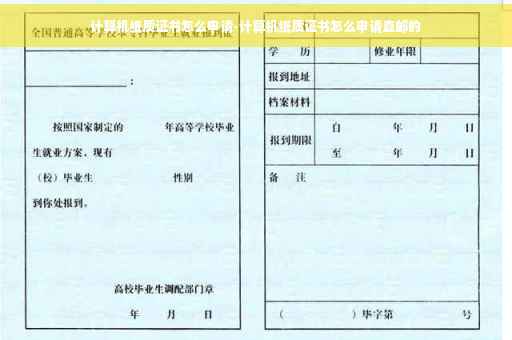 计算机纸质证书怎么申请-计算机纸质证书怎么申请直邮的