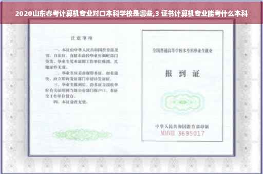 2020山东春考计算机专业对口本科学校是哪些,3 证书计算机专业能考什么本科