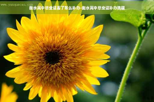 衡水高中毕业证丢了怎么补办-衡水高中毕业证补办流程