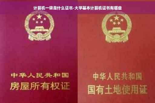 计算机一级是什么证书-大学基本计算机证书有哪些