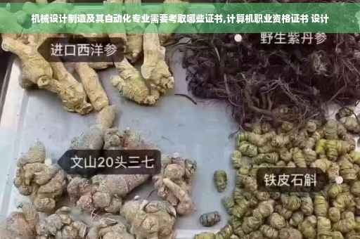 机械设计制造及其自动化专业需要考取哪些证书,计算机职业资格证书 设计