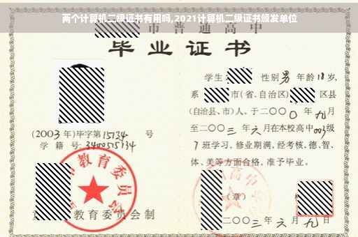 两个计算机二级证书有用吗,2021计算机二级证书颁发单位