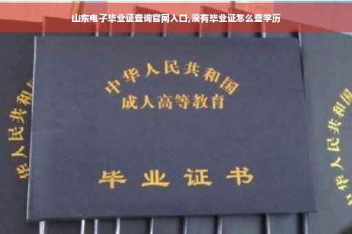 山东电子毕业证查询官网入口,没有毕业证怎么查学历