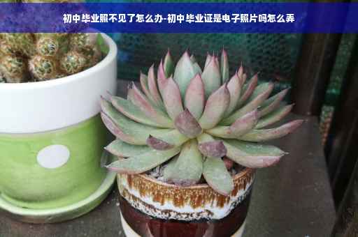 初中毕业照不见了怎么办-初中毕业证是电子照片吗怎么弄
