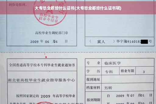 大专毕业都给什么证书(大专毕业都给什么证书呢)