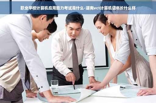 职业学校计算机应用能力考试是什么-湖南vct计算机证书长什么样