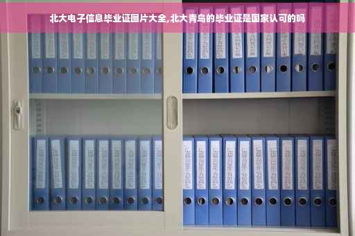 北大电子信息毕业证图片大全,北大青鸟的毕业证是国家认可的吗