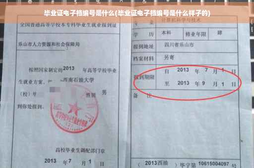 毕业证电子档编号是什么(毕业证电子档编号是什么样子的)