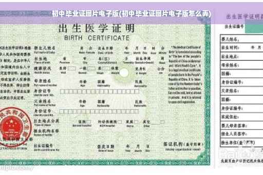 初中毕业证图片电子版(初中毕业证图片电子版怎么弄)