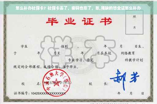怎么补办社保卡？社保卡丢了，密码也忘了，怎,残缺的毕业证怎么补办