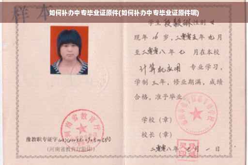 如何补办中专毕业证原件(如何补办中专毕业证原件呢)