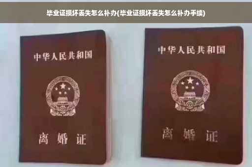 毕业证损坏丢失怎么补办(毕业证损坏丢失怎么补办手续)